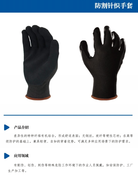 圖片 13