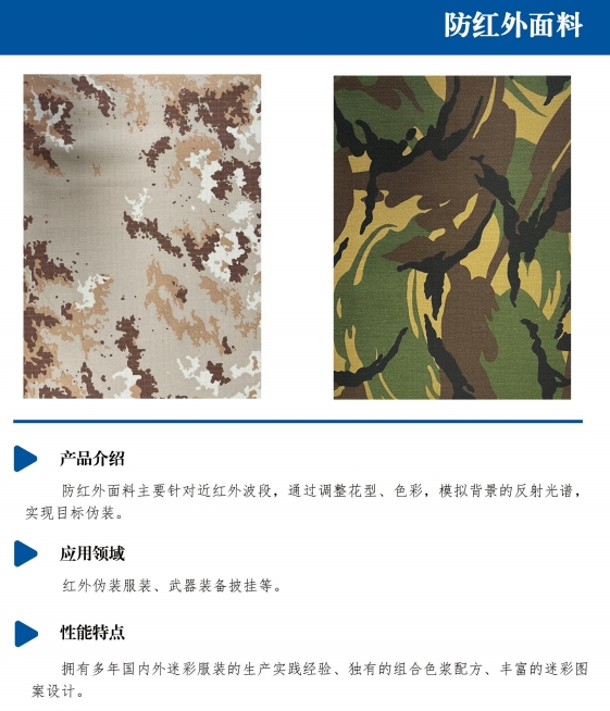 圖片 6