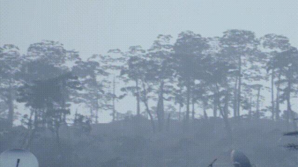 圖片 5