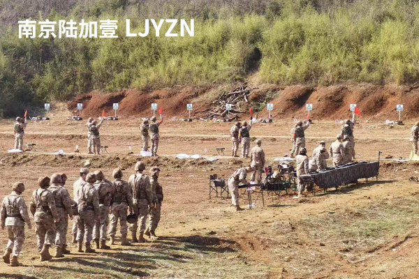 圖片 15