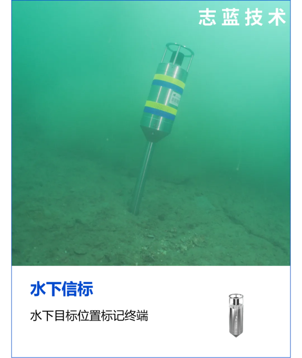 圖片 8