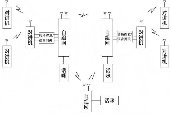 圖片 11